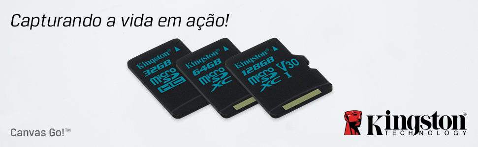 Capturando a vida em ação!