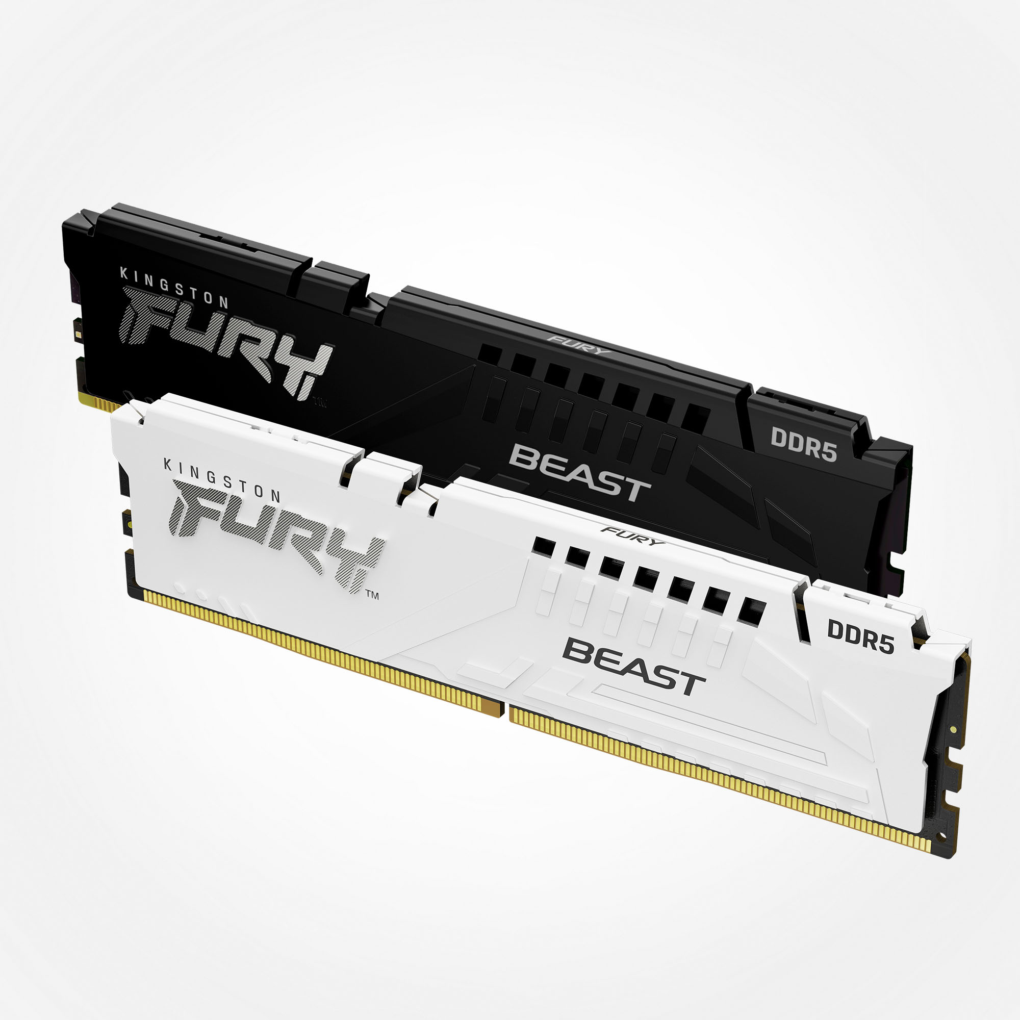 Kingston FURY™ Beast DDR5 Memory