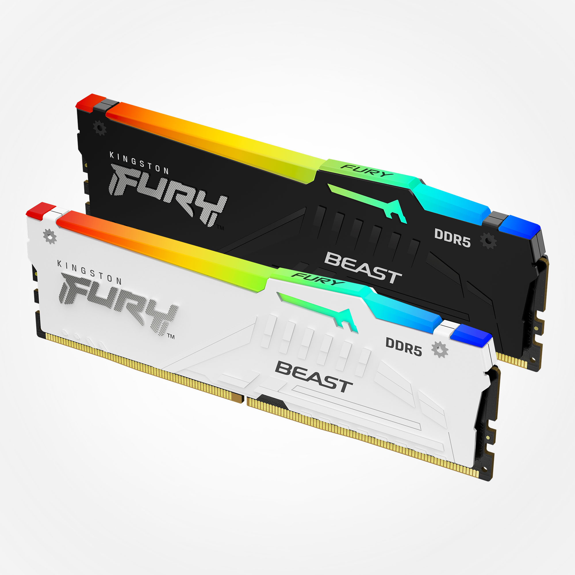 Kingston FURY™ Beast DDR5 Memory
