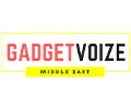 Gadget Voize
