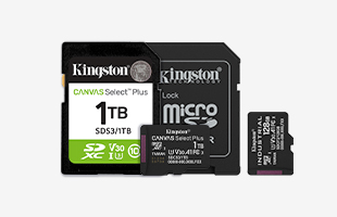 Kingston Cards and Media Readers