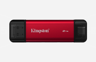 Dual Portable SSD