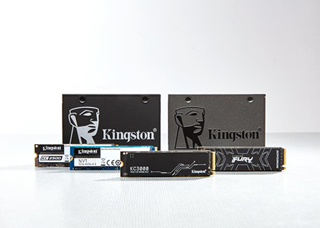 Kingston tops list for channel SSD shipments