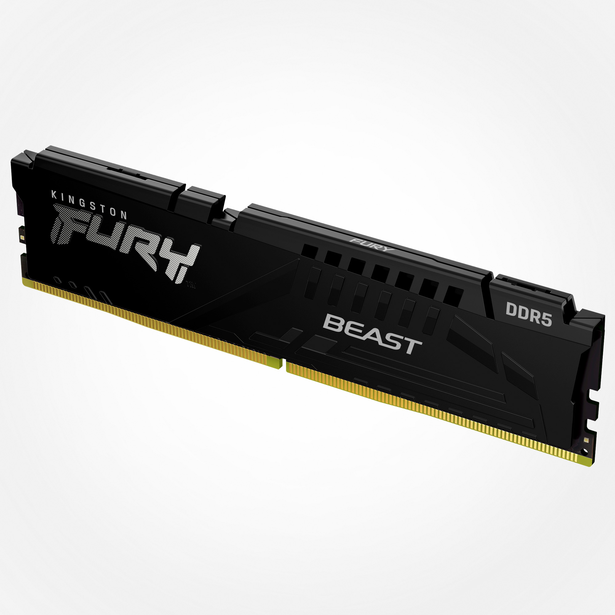 Memoria Kingston FURY™ Beast DDR5
