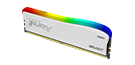 Beast DDR4 RGB SE