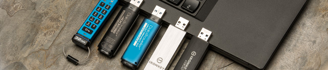 Visual image of Kingston family Encrypted USB