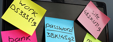 Quản lý mật khẩu. Máy tính xách tay có dán nhiều mảnh giấy nhớ ghi các cụm mật khẩu phức tạp trên màn hình.