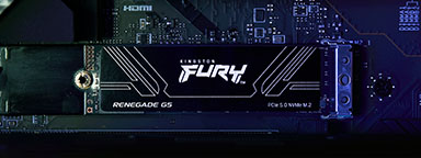 SSD FURY Renegade G5 ของ Kingston บนเมนบอร์ดที่ส่องสว่างด้วยหน่วยความจำ RGB