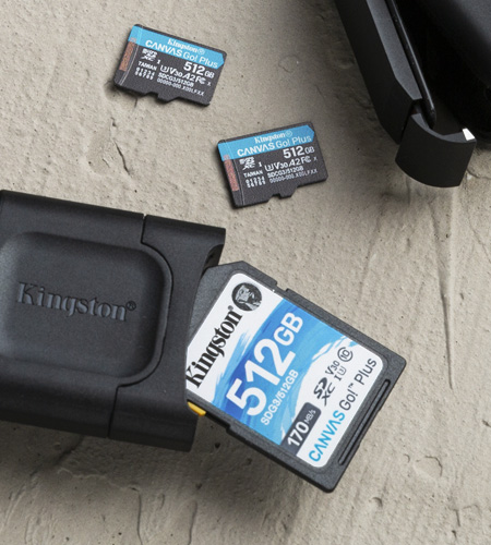 Kingston SD and microSD cards