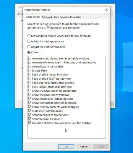 Visual Effects Tab in the Performance Options in Windows 10