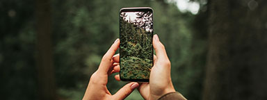 Una mujer sostiene un teléfono que está tomando una foto de una hermosa vista del bosque.