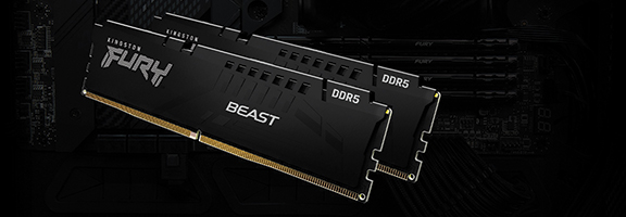 Kingston FURY Beast DDR5