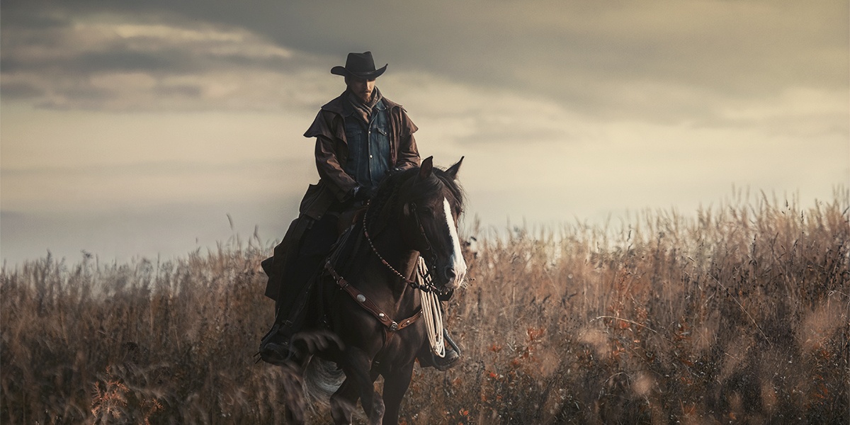 A western cowboy on a horse in a field