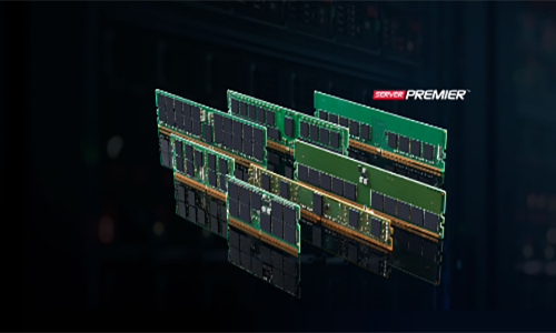 各種 DRAM 模組外形尺寸和 Server Premier 徽標