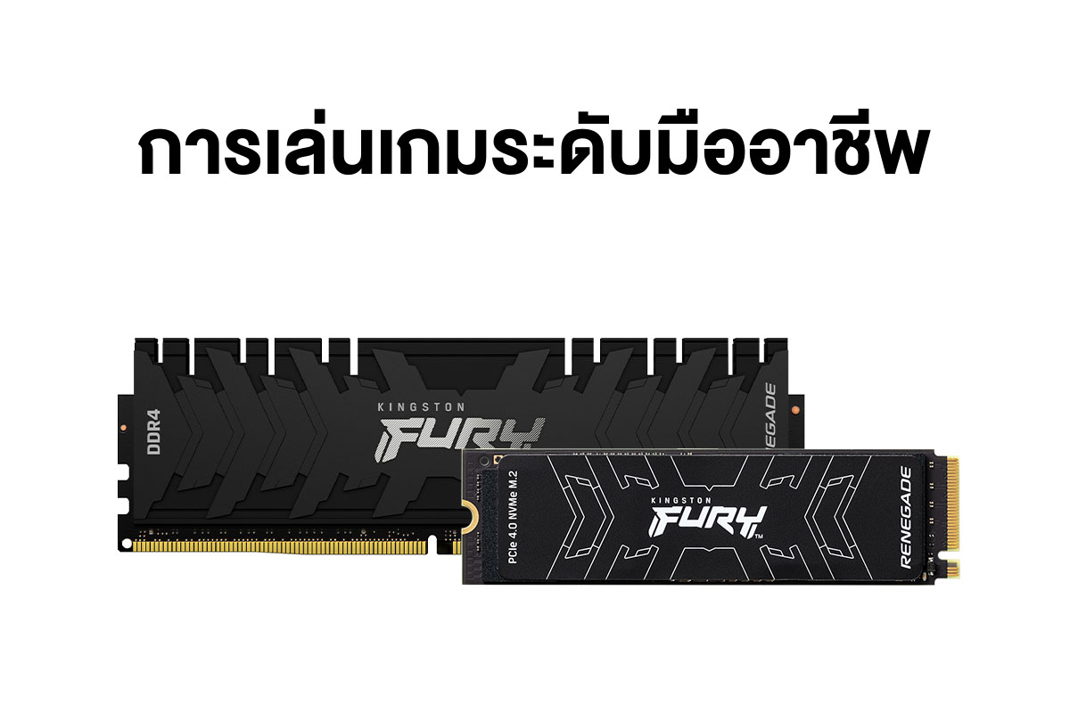 หน่วยความจำ Kingston FURY Renegade และ SSD หน่วยความจำ Kingston FURY Renegade และ SSD
