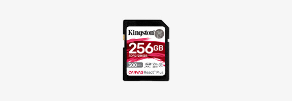 Kingston Canvas React Plus SD