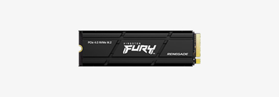 Kingston SSD FURY Renegade