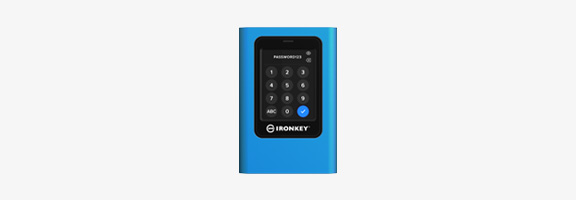 IronKey Vault Privacy 80 ES