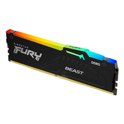 Kingston FURY™ Beast DDR5 RGB メモリ – 8GB、16GB、32GB、64GB