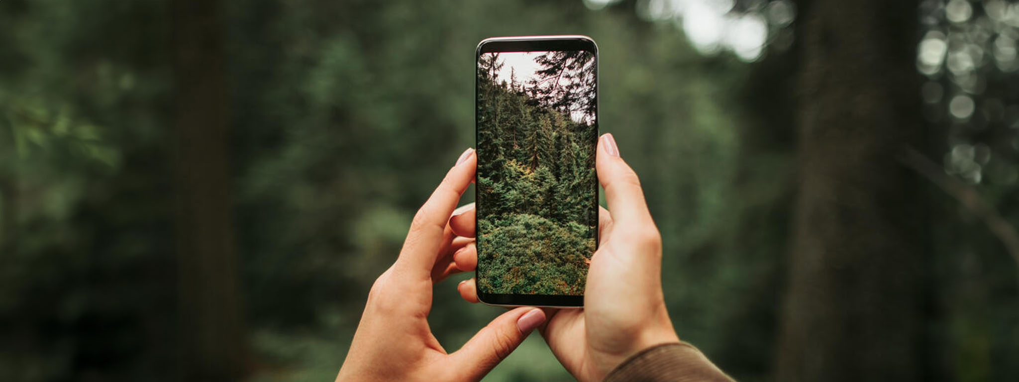 Eine Frau hält ein Telefon in der Hand, mit dem sie ein Foto von einer schönen Waldlandschaft macht.