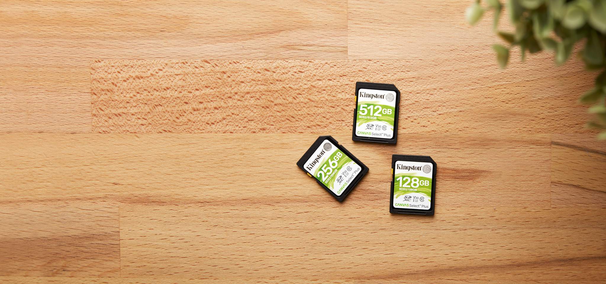Tiga kartu SD Canvas Select Plus, masing-masing dengan kapasitas berbeda, diletakkan pada meja berserat kayu