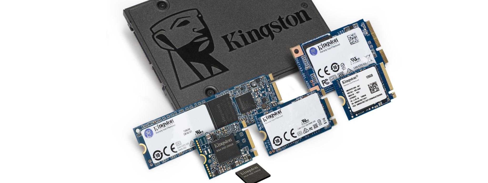 One SATA SSD, a 2230, 2280, and 2242 M.2 SSD, two mSATA SSDs and a BGA SSD package