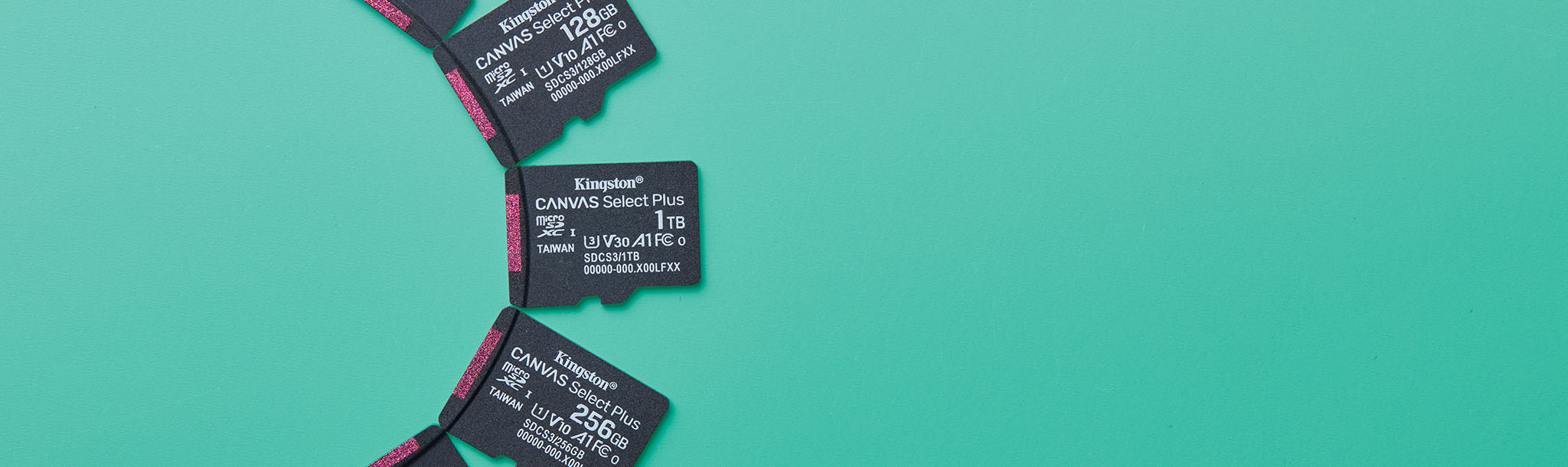 Multiple Canvas Select Plus microSD cards arranged in a semi circle on a green surface