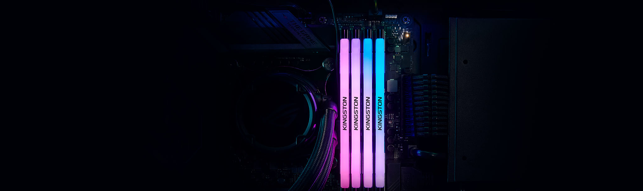 Anakart üzerine monte edilmiş dört Kingston Renegade DDR5 RGB bellek modülü pembe ve mavi renkte parlıyor