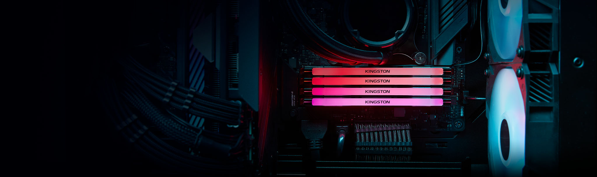 Dört Kingston Renegade DDR5 RGB bellek modülü pembe renkte parlıyor, yatay görünüm