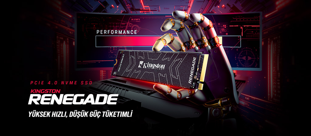 Kingston Renegade SSD'nin bir arka planın önünde tutulması