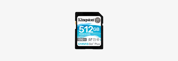 Kingston Canvas Go Plus SD