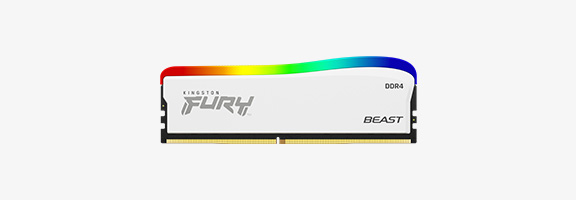 Kingston FURY Beast DDR4 RGB SE