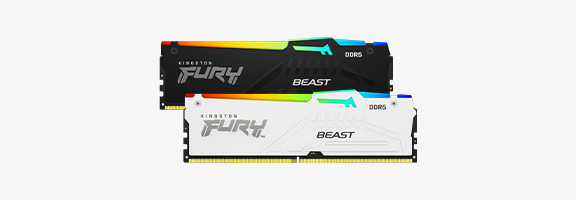 FURY Beast DDR5 RGB Gaming Memory