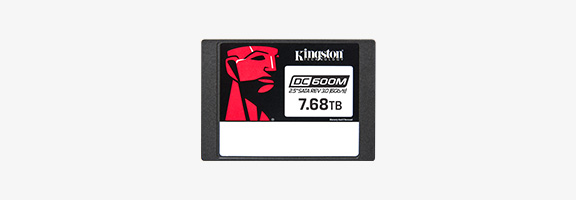 Kingston SSD SEDC600M