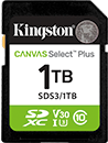 Canvas Select Plus microSD Memory Card