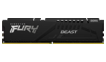 Beast DDR5