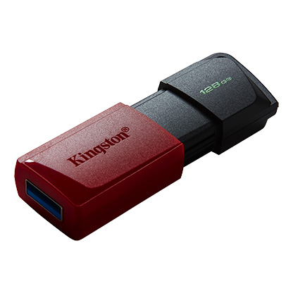 Clé USB Kingston 128 GB - USB 3.2