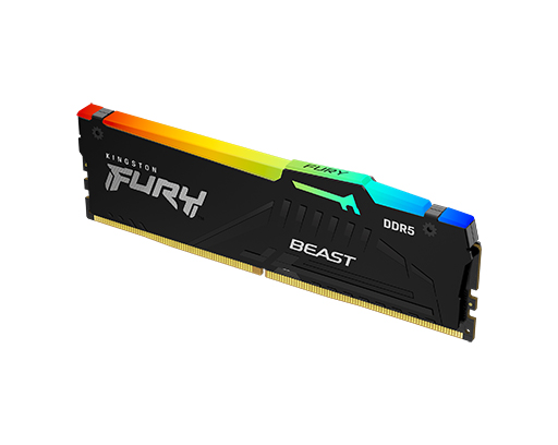 Kingston FURY Beast DDR5 5600 64GB(32GBx2) RGB Desktop Overclocking  Memory-White (KF556C36BWEAK2-64) 