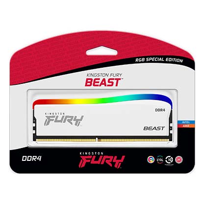 FURY Beast DDR4 RGB Special Edition module