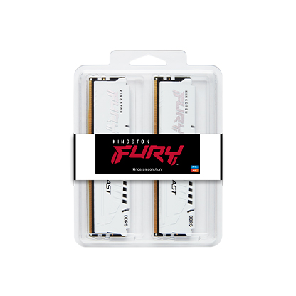FURY_Beast_White_DDR5_2_pkg-lg.jpg