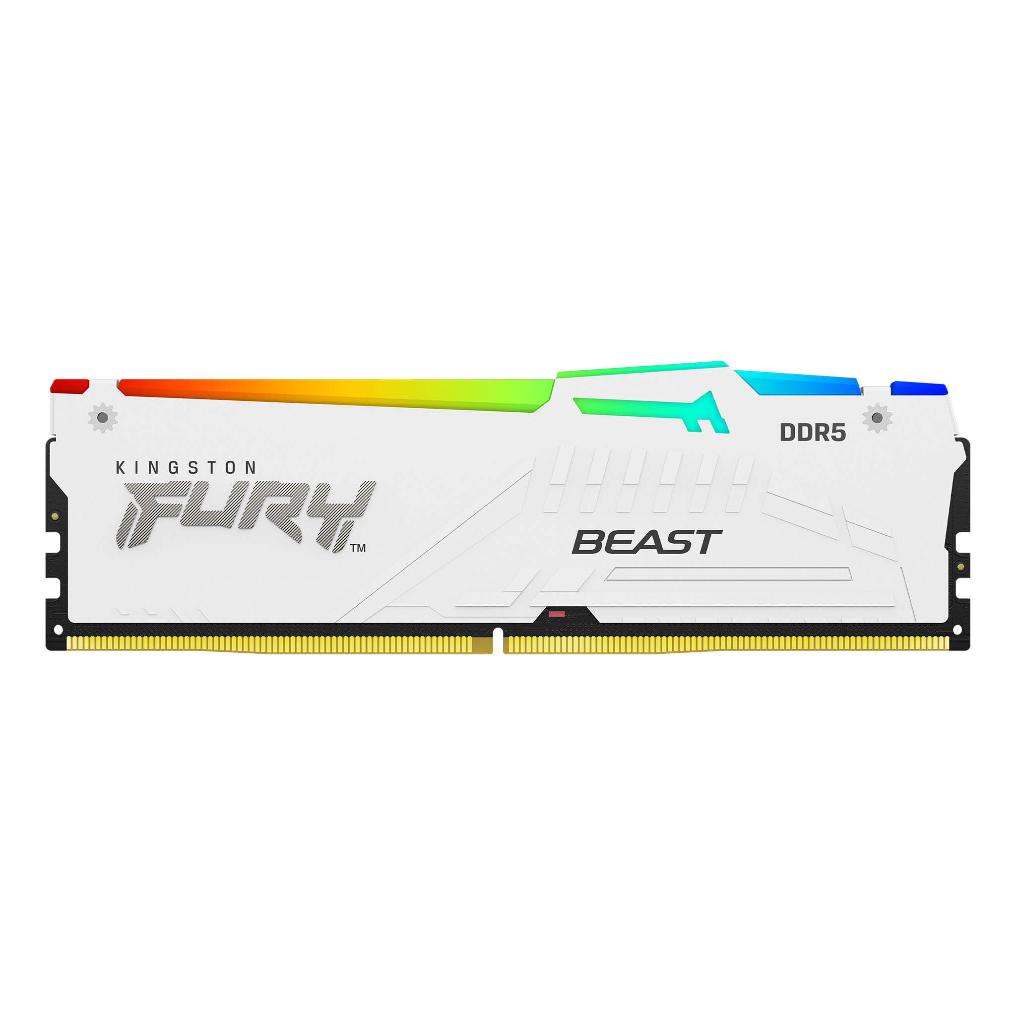 Kingston FURY™ Beast DDR5 RGB Memory – 8GB, 16GB, 32GB, 64GB,  128GB/4800MT/s, 5200MT/s, 5600MT/s, 6000MT/s - Kingston Technology