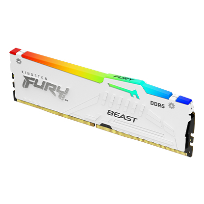 FURY_Beast_White_RGB_DDR5_1_an