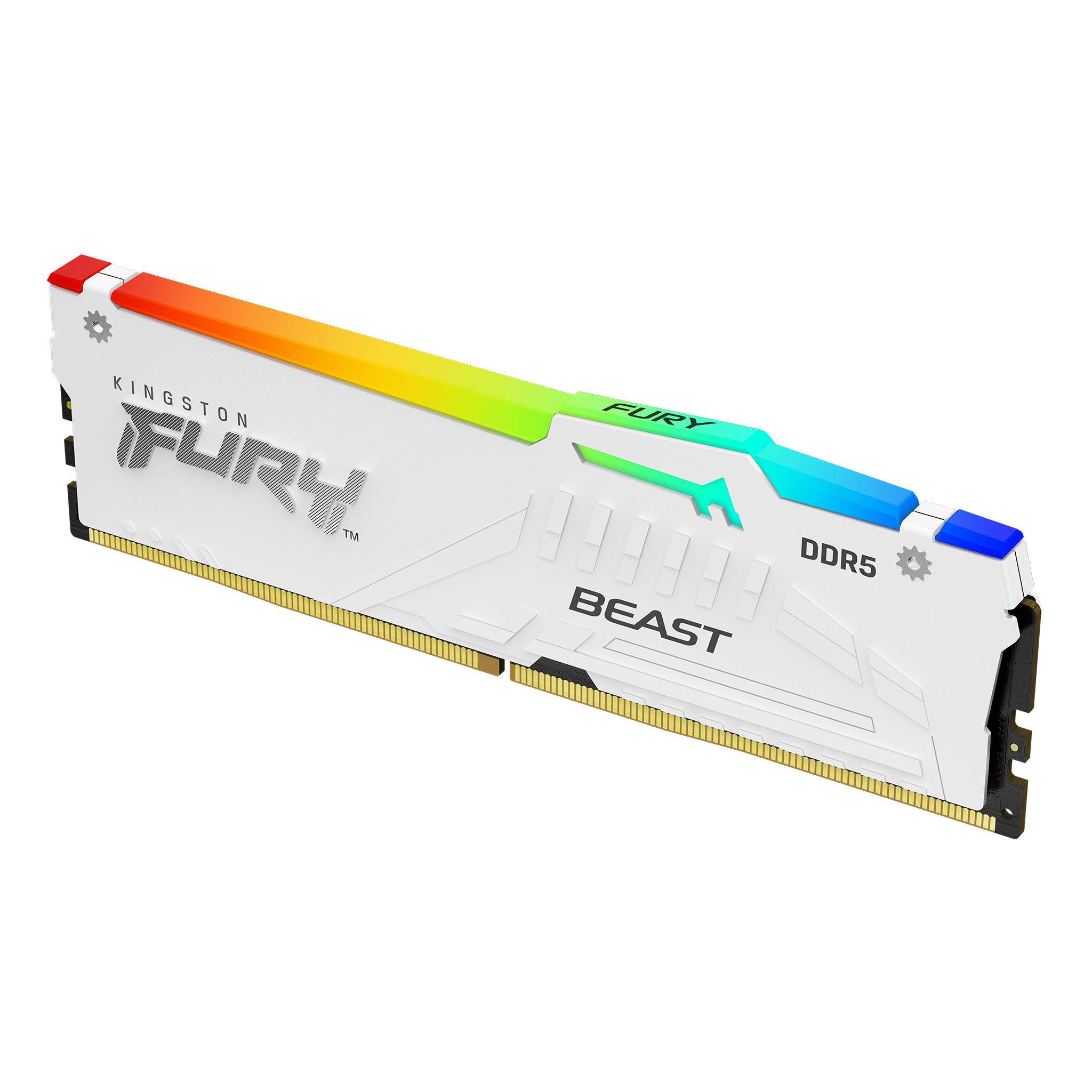 Kingston FURY™ Beast DDR5 RGB Memory – 8GB, 16GB, 32GB, 64GB,  128GB/4800MT/s, 5200MT/s, 5600MT/s, 6000MT/s - Kingston Technology