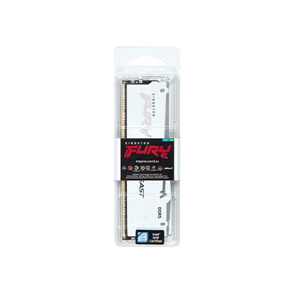 Kingston FURY™ Beast DDR5 RGB Memory – 8GB, 16GB, 32GB, 64GB