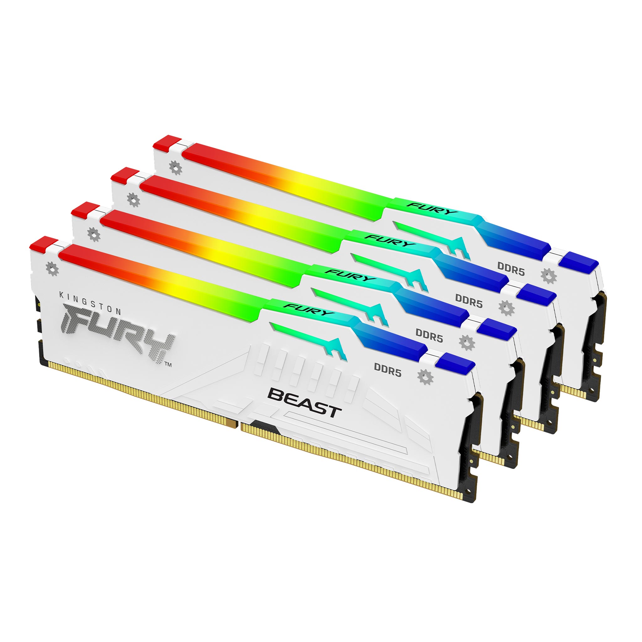 Kingston FURY™ Beast DDR5 RGB 記憶體– 8GB、16GB、32GB、64GB、128GB