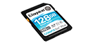 128GB SDXC Canvas Go Plus 170R C10 UHS-I U3 V30