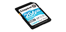 256GB SDXC Canvas Go Plus 170R C10 UHS-I U3 V30