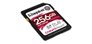 256GB SDXC Canvas React 100R/80W CL10 UHS-I U3 V30 A1