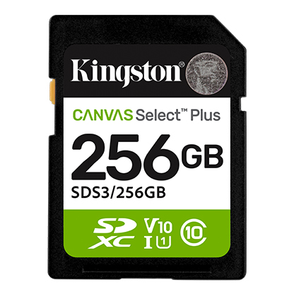 SDS3_256GB-lg.jpg