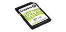 128GB SDXC Canvas Select 80R CL10 UHS-I